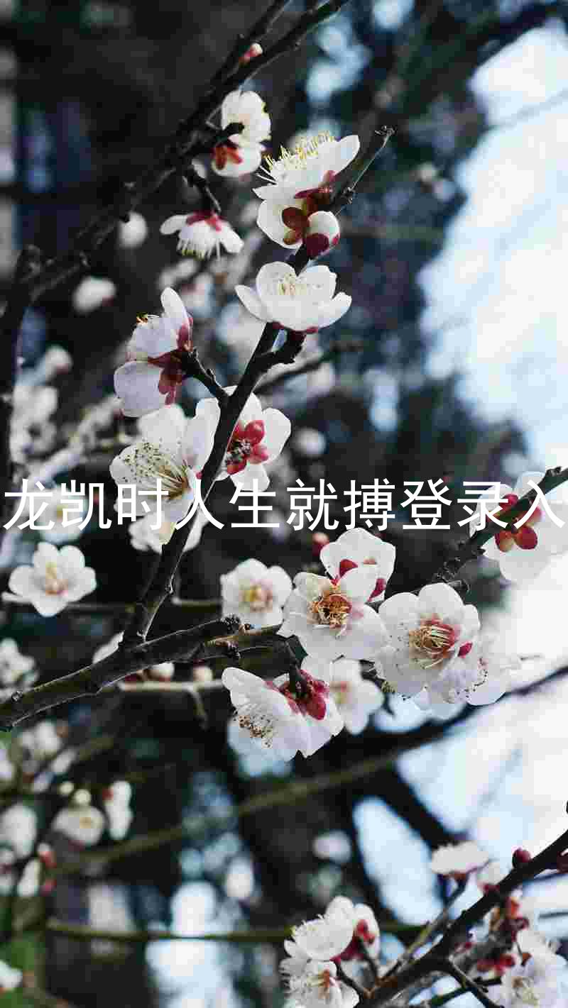 尊龙凯时人生就搏登录入口